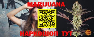 гидра Краснокаменск